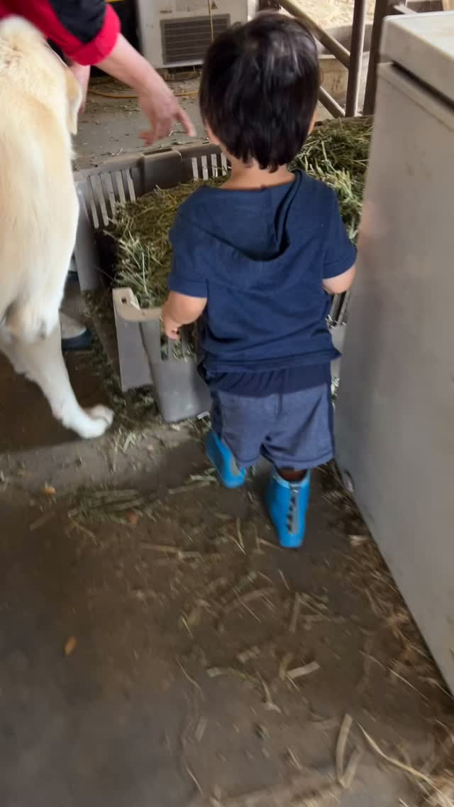 Everyday is an Easter egg hunt around here