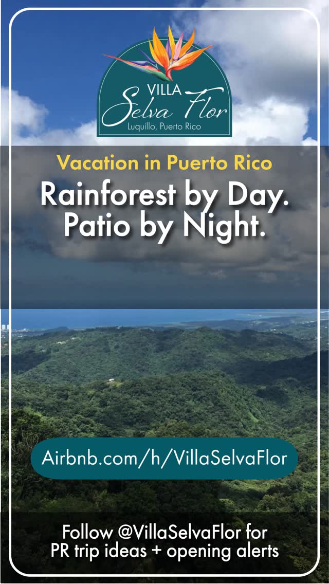 Rainforest by day.
Patio by night.
Hike. Beach. Spa. Repeat.
📍 Luquillo, Puerto Rico | Top 1% of homes on Airbnb ⭐
Plan your escape → airbnb.com/h/villaselvaflor
#PuertoRico #PuertoRicoTravel #ElYunque #IslandAdventure #VillaSelvaFlor