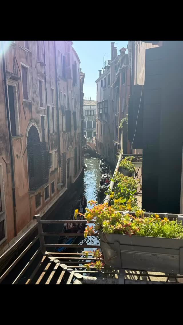 An inspiring two weeks in Italy … The launch of The Knight’s Codex Deck with 25 amazing attendees … and two books written … feeling blessed 🙏🏻