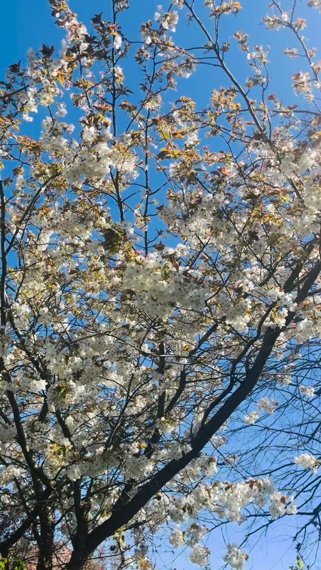 Are you feeling lost in your career or just feeling burnt out? That feeling of “let’s get through work today, tomorrow will be better!”
DM “FASHION” to gain valuable insider insight into your next career strategy.