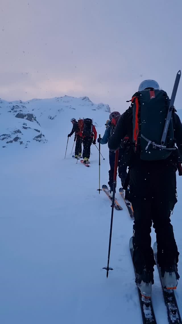 S'emmontagner 🏔
Il existe dans le coin, une petite tribu qui vit d'aventures toujours plus farfelues. Ils aiment se regrouper sous le nom du @clubalpinbayonne
Leur plus grande inspiration vient de la montagne. Ce qu'il y a d'incroyable, c'est la passion et la transmission qu'ils partagent avec patience et générosité. Leur ingrédient secret ? Un p'tit grain de folie
-
J'ai eu la chance de vivre une formation en cycle initié ski de randonnée à leur côté. J'ai compris au fur et a mesure leurs critères de sélection :
- savoir faire des bons gâteaux 🥧 Essentiel pour le ravito
- maîtriser la belotte ♤ Important pour les jours blancs
- savoir mettre la jambe derriere la tête 🤸🏻♀️ Essentiel pour les chutes en double front flip !
C'est joli de recevoir autant 😊 Que ce soit dans la rencontre à la nature ou dans l'expérience humaine.
-
En bref, on a appris beaucoup, on a grandit un peu mais en se promettant de rester enfant, on a essayer d'arrêter le temps pour rester là. Parce qu'au fond, il n'y a pas besoin de beaucoup plus dans cette immensité !
#clubalpinfrançais #lamontagnecavousgagne #lescopainsdabord