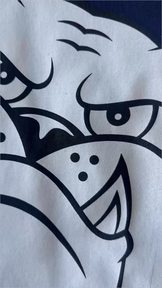 @southranchitodla class of ‘26 #tshirt #classof26 #customapparel #bulldoglife