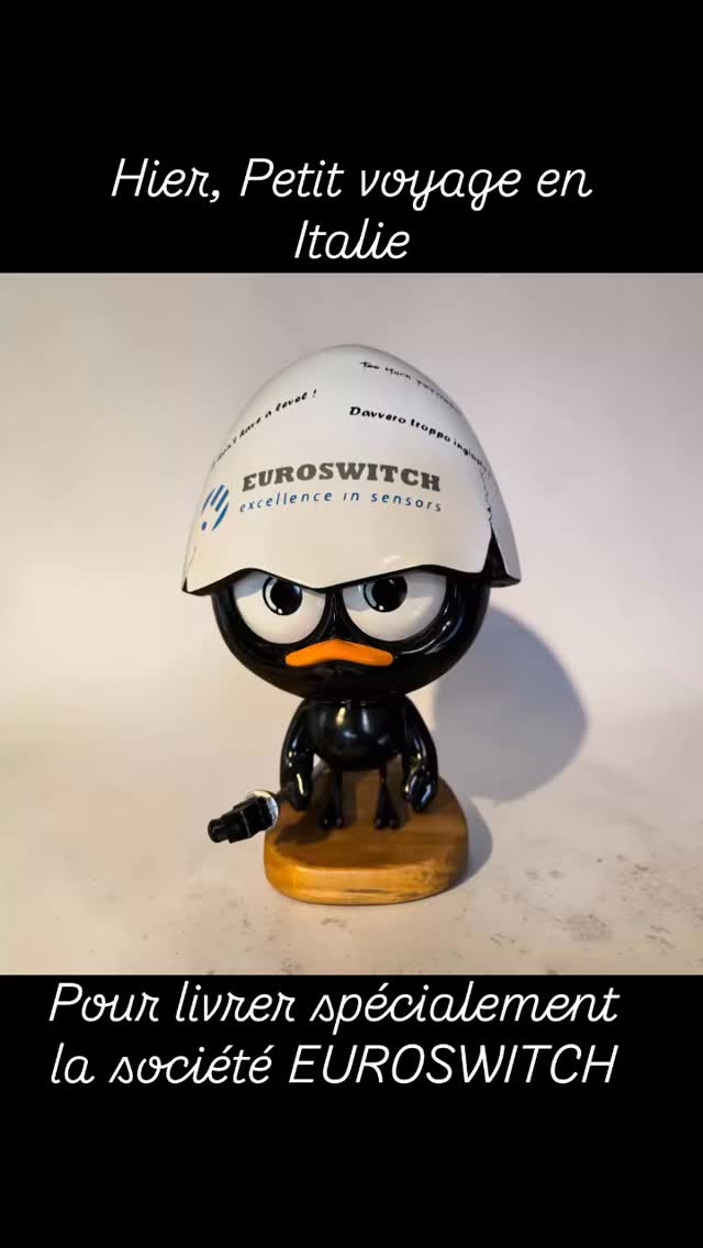 Ravi de ce petit voyage en Italie, au bord du lac d’ISEO, magnifique 🤩 ! Merci à Lorenzo pour la visite de cette usine à taille humaine mais grande par sa qualité de produits et innovation ! #sculpture #calimero #ceramique #euroswitch