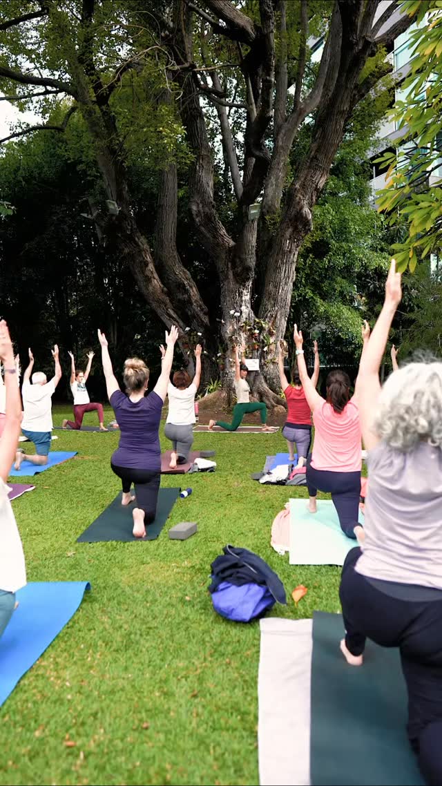 YOGA IS EVERYTHING
From the moment you become a yoga pratitioner and if you know what that means, you can practice yoga all the time.
If you think yoga is just the Asanas (postures), you're wrong.
Yoga is breathing consciously.
Yoga is moving consciously.
Yoga is conscious relaxation.
Yoga is self-observation.
Yoga is self-inquiry.
Yoga is self-development.
If you're able to this everyday in anything you do (or not do), it's yoga.
If you want to learn more about this philosophy/life style, join my yoga classes 🙏