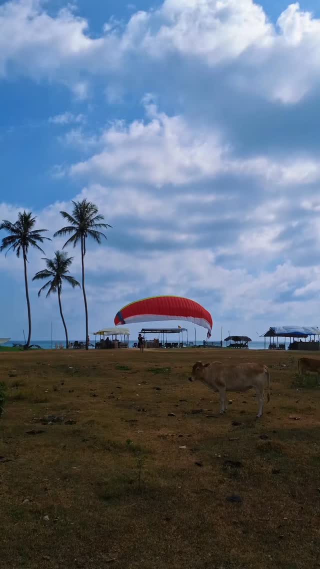 Some days just fall into place.
April at Lion’s Rest feels like one long, easy flow you don’t want to interrupt. DM us for best rates.
#lionsrest #gurubebila #surfsouthsrilanka #weligama #srilankatravel