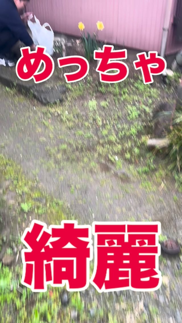 めちゃくちゃ綺麗に咲きました!
#塗装工事 #塗装 #塗装屋 #塗装屋さんと繋がりたい #塗装職人