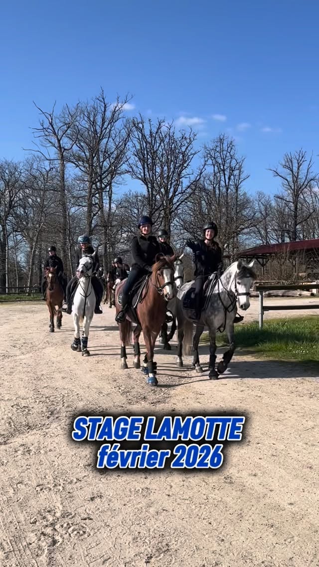 ☀️Durant les vacances de février, nos cavaliers compétitions CSO et loisirs galop 4 ont pu profiter d’une semaine de stage au Parc Équestre Fédéral à Lamotte-Beuvron.
Ils ont pu découvrir ou redécouvrir plusieurs disciplines comme le tir à l’arc, les courses, le dressage, le CSO…
🏆Une belle semaine ensoleillée qui s’est finie par un CSO pour nos cavalières compétitions avec de très beaux résultats.