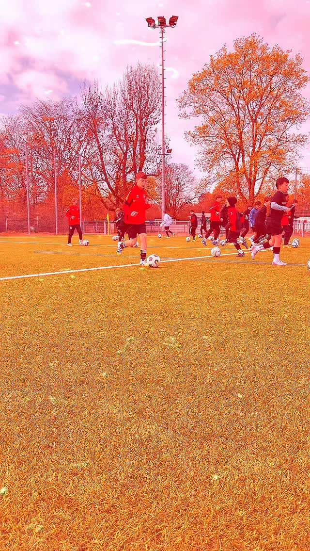 Patrick Ochs Fussball Akademie
Oster Elite Camp 2026 - Tag 2🔥
Was für ein Tag! 💥
Beim Oster Elite Camp 2026 ging es heute richtig zur Sache – mit Top Jungs aus Nachwuchsleistungszentren und leistungsorientierten Vereinen.
⚡ Das stand auf dem Programm:
• Hochintensive Trainingseinheiten
• Maximale Wiederholungen für echte Entwicklung
• Spiel- und Übungsformen direkt aus dem Spiel abgeleitet
• Finten & Täuschungen für dein 1vs1
• Scannen, Schulterblick, Freilaufverhalten – Spielintelligenz auf das nächste Level
• Maximale situative Entscheidungen unter Druck
💡 Unser Ansatz:
Fokus auf Individualiät. Intensiv. Spielintelligenz.
Leistungsorientiert.
Hier wird nicht nur trainiert – hier wird Fußball verstanden, gelebt und auf ein neues Level gebracht. 🚀