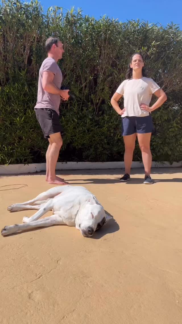 This may be a surprising thing to hear from fitness coaches, but try think about it like this;
Fitness is PART of your life. An important part.
But it’s not the ONLY important part of your life.
Fitness should add ✨value✨ to your life and slot into your
no doubt already jam-packed schedule without leaving you feeling overwhelmed and stressed.
So how do you actually do this?
You let go of this “perfect” idea of fitness you see on social media, or what used to work well for you.
And you instead embrace the reality of imperfect, messy, and often interrupted workouts.
It’s not always easy, but it definitely makes it more realistic, practical ... and a heap more fun! 🤪