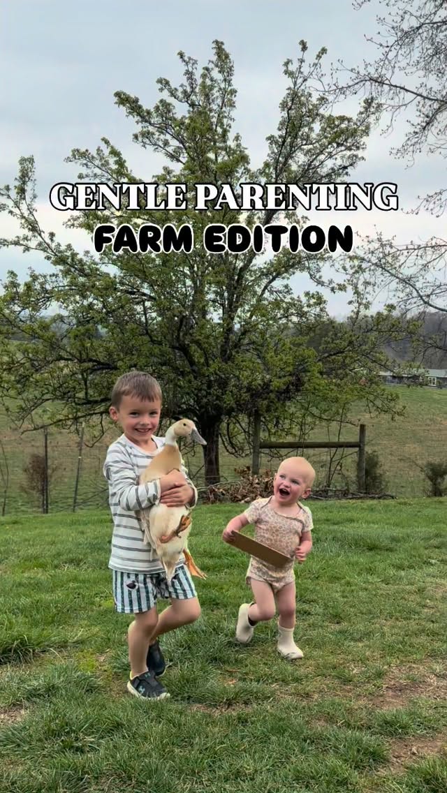 P.S. I don’t gentle parent in case that wasn’t obvious. 😂🤪
#farm #homestead #farmlife #motherhood #sheep