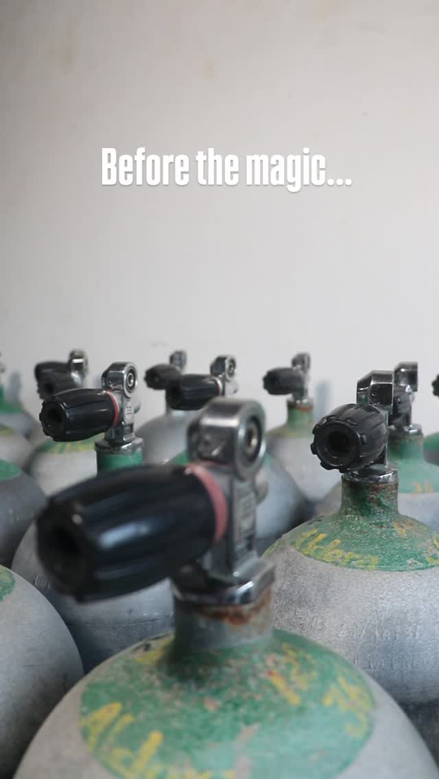 It all starts before you hit the water…
The details, the gear, the care.
So once you descend, it’s just you and the ocean 💙
#AldoraDivers #DiveCozumel #OceanLovers #UnderwaterWorld #cozumeldiving