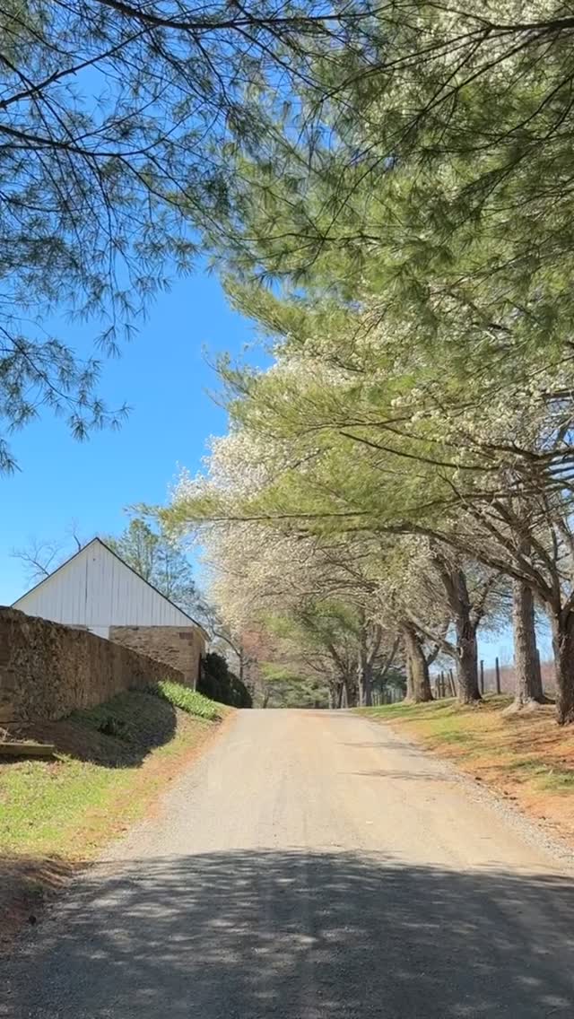 Spring is upon us. Loving every minute of it! ๐