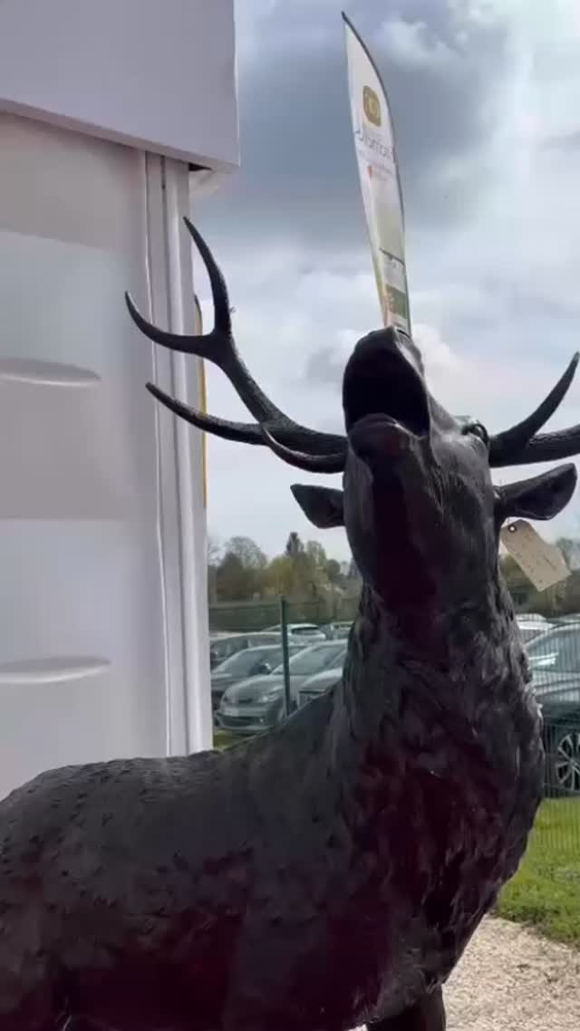 🎥 On est en place. Et ça bouge déjà.
Depuis hier, on vous accueille au stand A52 et franchement, ça vaut le détour.
👉 Des nouveautés qu’on ne montre pas partout
👉 Du stock prêt à partir
👉 Et une vraie ambiance terrain
Passez nous voir, discuter, découvrir… et repartir avec du solide.
📍 Stand A52
📅 Jusqu’à lundi
On est là. À vous de jouer.
#LeCanardFrançais #Chasse #Chasseurs #PassionChasse #MadeInFrance MarqueFrançaise LifestyleChasse Terrain StandA52 Nouveautés Salon EspritChasse Authentique