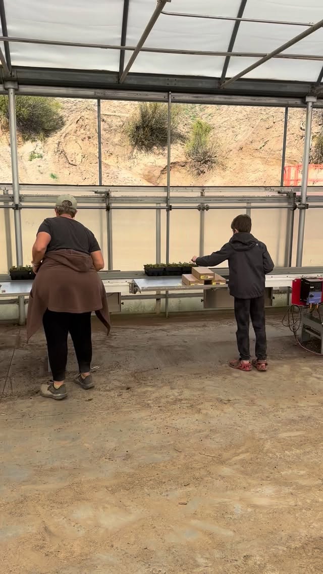 Three generations of Wards, getting in some bulk planting over the weekend. Bria prepping the flats, Riley running the machine, Ellen patching and Sawyer tagging.