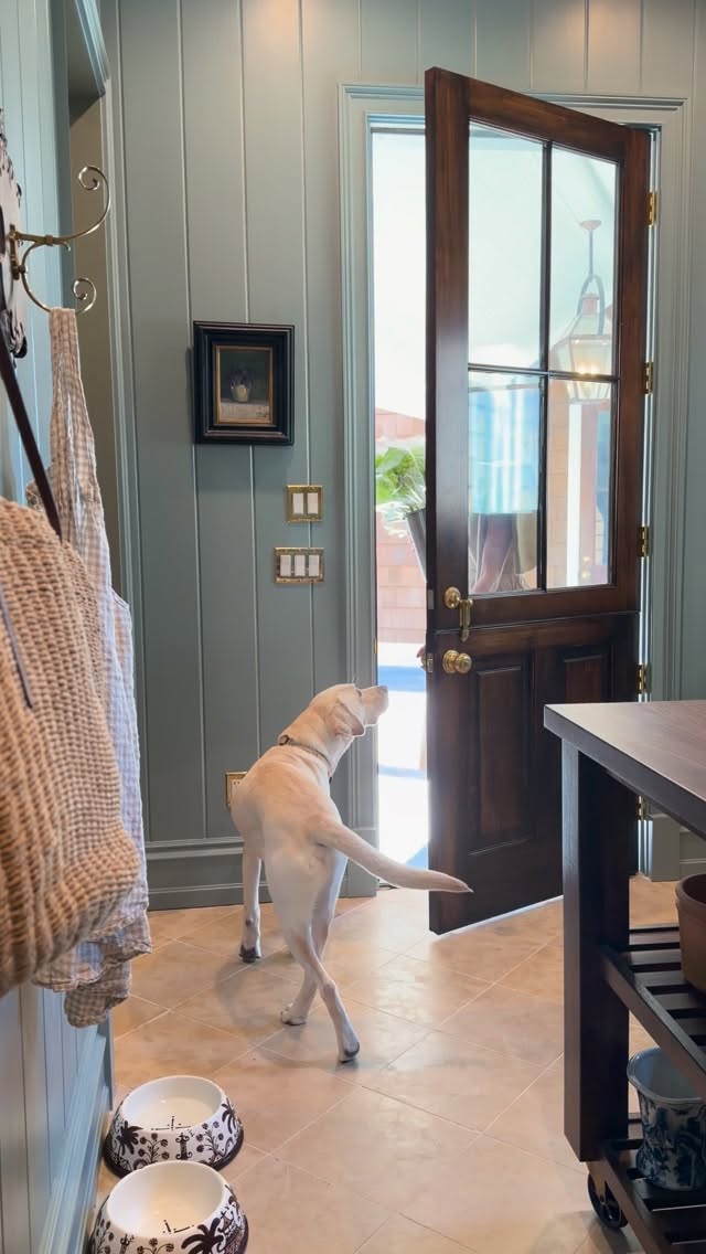 I love the people I get to meet in the flower department. Recently, while at Trader Joe’s, a woman shared her love for the “Star of Bethlehem” blooms with me. I’d never noticed them at our local store before, but I added a few to my cart—and wow, they’re absolutely stunning. ✨ outfit details on my previous post or can be found on my @shopmy