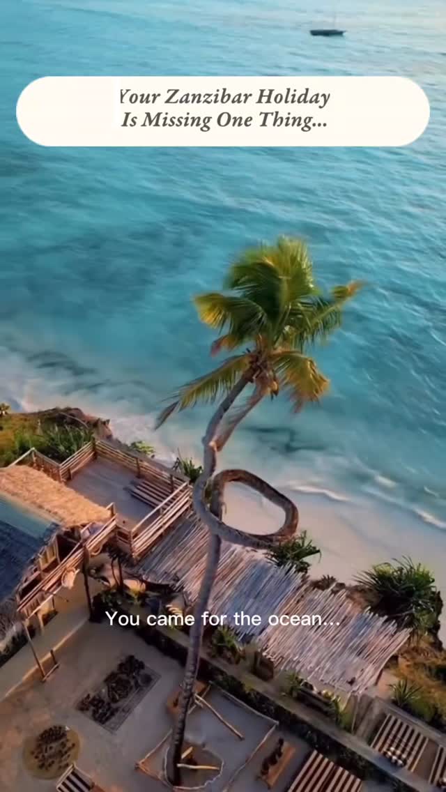 From the beaches of Zanzibar to the wild heart of Tanzania 🦁✨
Imagine leaving paradise in the morning… and by afternoon watching lions roam across the endless plains of the Serengeti.
Our 3 Days Serengeti & Ngorongoro Fly-in Safari is designed for travelers who want to experience Africa’s greatest wildlife adventure — without long drives or complicated planning.
✈️ Scenic flights included
🐘 Big Five game drives
🏕️ Comfortable safari camps
🌍 All-inclusive experience
Turn your Zanzibar holiday into the adventure of a lifetime with Gnade Safaris.
📩 Email: info@gnadesafaris.com
📲 WhatsApp: +255 793 832 959
#GnadeSafaris #ZanzibarSafari #SerengetiSafari #NgorongoroCrater #TanzaniaSafari FlyInSafari AfricanSafari BigFiveSafari LuxurySafari VisitTanzania SafariFromZanzibar