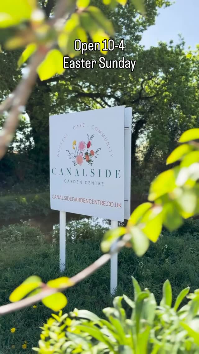 🐣
We’re OPEN tomorrow 10-4
Bring the kids for our Easter scavenger hunt, grab a coffee, accidentally buy 6 plants #canalsidegardencentre #cheshirelife #gardening
