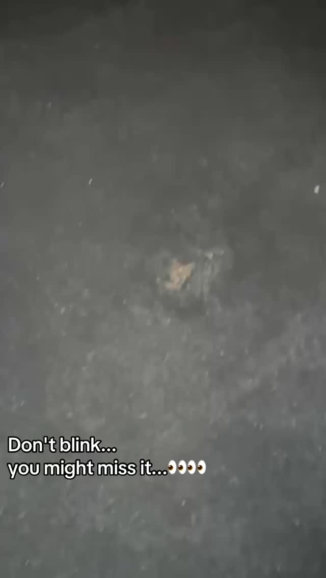 Wait for it…
This rug stain doesn’t stand a chance
#CleaningTok #RugCleaning #CarpetCleaningNYC #OddlySatisfying #NYCBusiness