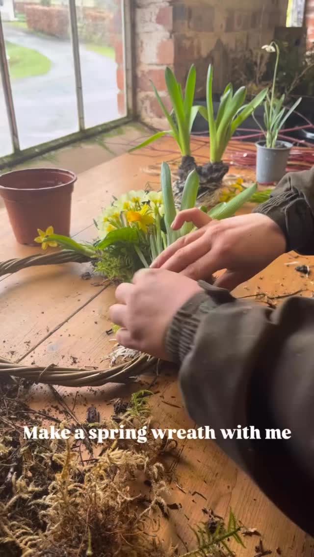 Gweithdy Torchen Fyw y Pasg
Dewch i ddysgu sut i greu eich torch fyw eich hun i addurno eich drws. Byddwn yn defnyddio planhigion a bylbiau byw sydd wedi’u tyfu’n lleol, a gellir eu hailblannu ar ôl y Pasg.
£35 y tocyn
Croeso i bawb.
Living Easter Wreath Workshop
Join us for an evening learning how to create your own living Easter wreath to adorn your door. Made with locally grown living plants and bulbs that can be replanted afterwards.
£35 per ticket
Everyone welcome.