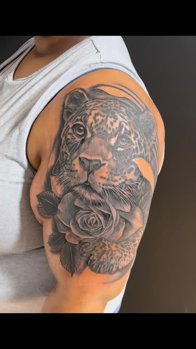 L y n k a r t . c o m 🧡🔗🐆