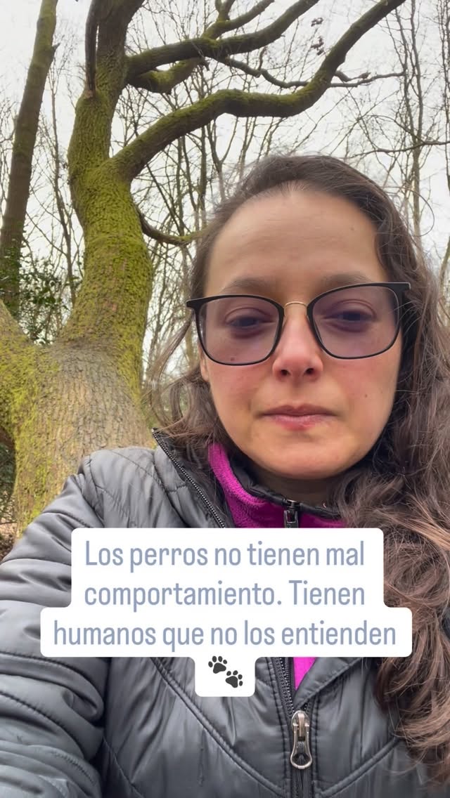 Tu perro tiene mucho que decirte… solo necesita que lo escuches 🐾🤍
Estoy en el parque con el corazón a mil porque tengo que contarles algo que llevo tiempo soñando 🎉
Mi cómic Obediencia Básica para Humanos , Nivel 1, nació de una misión muy clara, enseñarle a los humanos cómo los perros ven el mundo, para que podamos comunicarnos mejor con ellos y ser los dueños responsables que se merecen 🐶🤍
Y la noticia más grande…
🎉 ¡Voy a la FILBO!
📅 21 de abril al 4 de mayo 🇨🇴
Con una edición especial para niños 🐾✨
Porque si les enseñamos a los niños desde pequeños cómo piensan los perros…
cambiamos todo 🥹💛
¿Tu perro te habla con la mirada? Cuéntame abajo 👇🐶
#FILBO2026 #ObedienciaBasicaParaHumanos #PerrosFelices #TenenciaResponsable