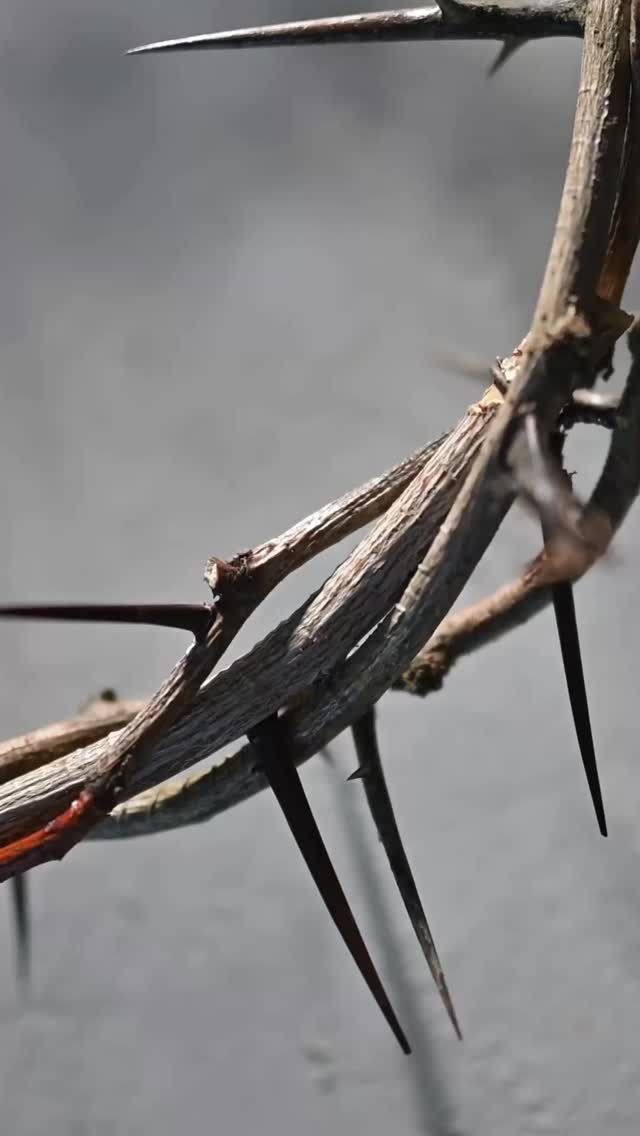 Jesus experienced the cup of agony and understands what we endure. We can become over-familiar with the story of Christ’s sacrifice and fail to feel the gravity of what Jesus actually, historically suffered for humanity. On this Good Friday take a moment and reflect on the reality of His sufferings.