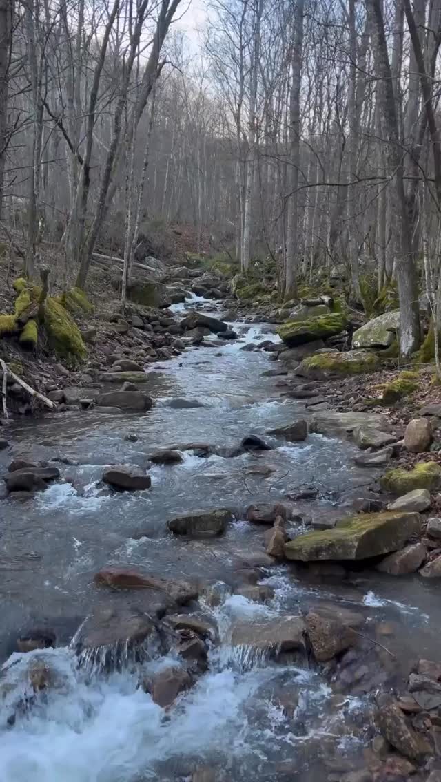 Sometimes the best moments are quiet ones. We have plenty of those just for you! Spring is curren loadingâŚ.Make plans NOW to Explore Summers County, WV.
#exploresummerscounty #visitwv #gotowv #almostheaven #getoutside