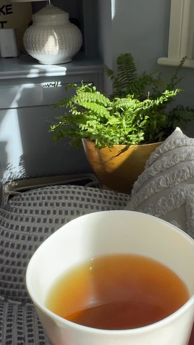 Fluidi*ty — a morning ritual
Fresh, lightly minty with a hint of orange peel, this blend is designed to support gentle movement and flow — helping you feel lighter, clearer, and ready for the day
#herbalmedicine #herbaltea #morningritual #minty #lymphaticdrainage
