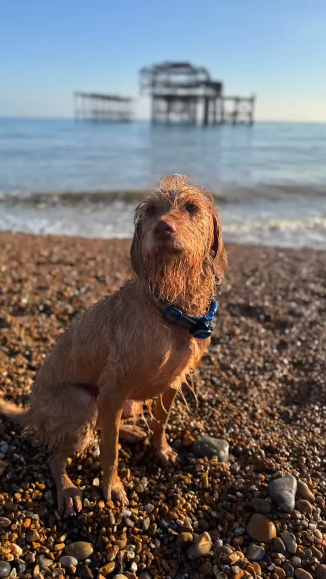 Suns out, sticks out âïž đ¶ đ đïž