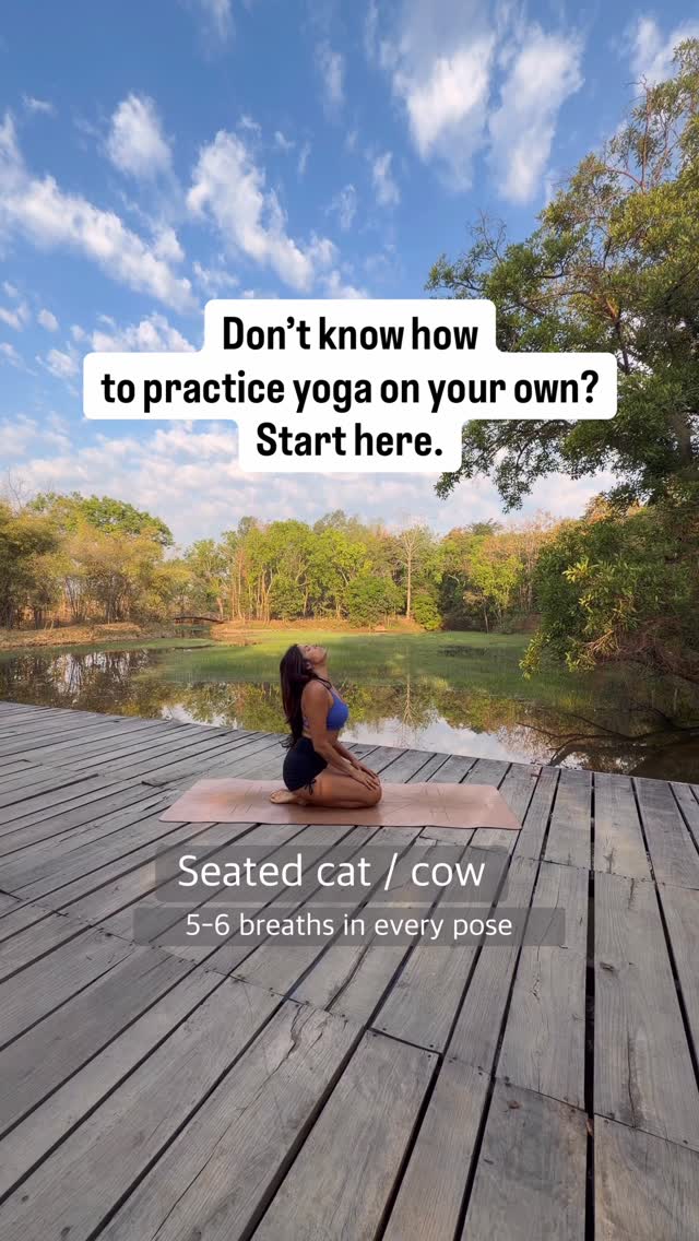 You don’t need a full class to practice yoga.
You just need a place to begin.
This is a simple flow you can come back to—
to move, to breathe, to reconnect.
No pressure to get it perfect.
No need to follow along forever.
Just learn it…
and make it your own.
Save this for your next self-practice.
or
Practice this a few times… then try it without me.
#yoga #selfpractice #yogaeverydamnday