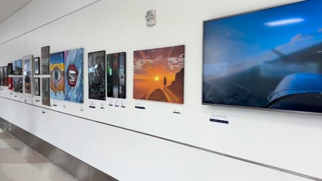 Look how nice the exhibition by the Fort Lauderdale international airport employees. We definitely all have the ability to create, whether or not we choose to allow our creativity to shine is another matter.