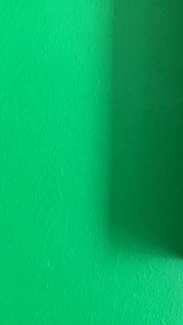 ‘Greensleeves’
Acrylic Paint on Canvas
Created with Musical Love for a VERY special Event ❤️
‘Follow Your Dreams’
JP3026
#greensleeves #music #artlife #followyourdreams #popart