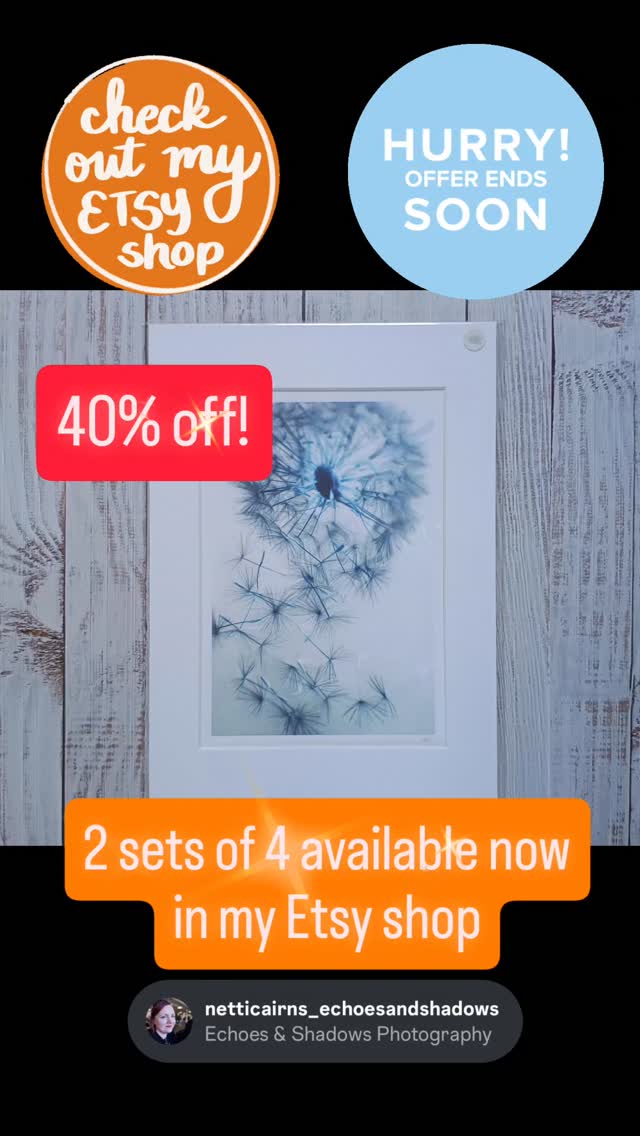 End of season SALE!
I've got just 2 sets of my series of 4 best selling giclee fine art photographs of dandelion flowers ready to pop in the post for just £60.60 (Usually £101.00) per set with FREE Postage. You can also pay in 3 with Klarna at 0% interest!
Each photograph is printed onto Hahnemule Photo Rag professional grade archival paper which is guaranteed to last for over 100 years using Lucia Pro inks, and mounted onto white core mount board in a professional lab.
These are A5 mounted prints, signed by me, which will fit straight into off the shelf A4 frames.
Find them and other sale items at etsy.com/uk/listing/1003194626
Netti x
