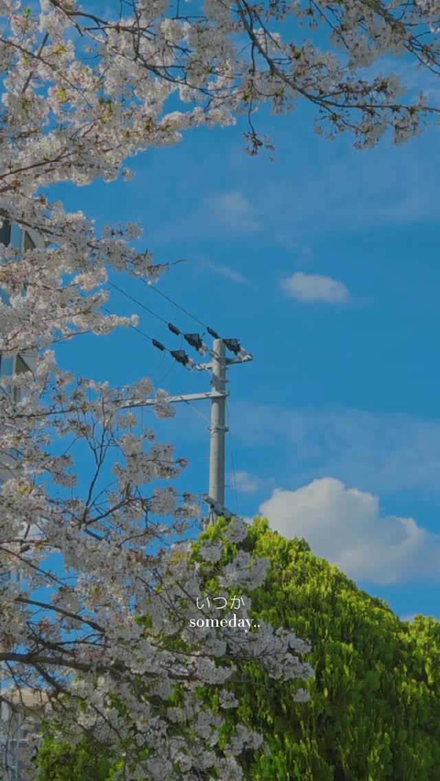 Romanticize Your Life 🌸☁️
#JapanAesthetic #CherryBlossomSeason #RomanticizeYourLife #SakuraSeason #SoftLiving