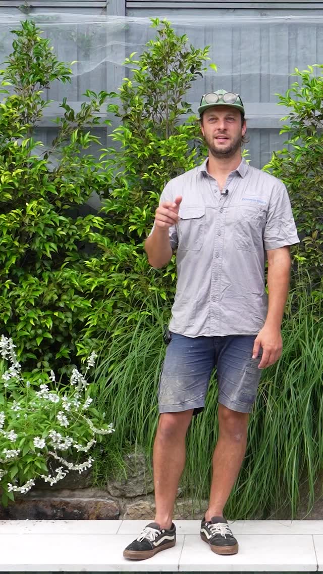 If you've ever toyed with the idea of having a home builder build your pool while they're doing your house, you'll want to watch this.
Pool building is so much more than an oversized concrete bath. It's a huge investment, there's a lot that can go wrong when it's not done right and rectifying mistakes is extremely expensive.
We're often called in to rescue projects for clients who have entrusted their pool build to businesses without the expertise to do it right.
Take it from us, cheaper quotes usually mean shortcuts. It's so much better to do it right the first time and save a lifetime of frustration, or worse, paying twice.
==========
💦 Pinnacle Pools - Residential pool building based in the Sutherland Shire.
🥇Awarded SPASA Australia's Concrete Pool Builder of the Year, 2024.