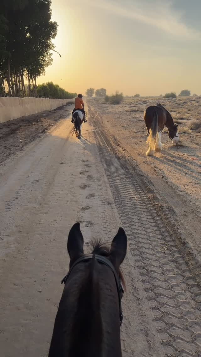 Taking our babies for a walk 🐴🐴🐴