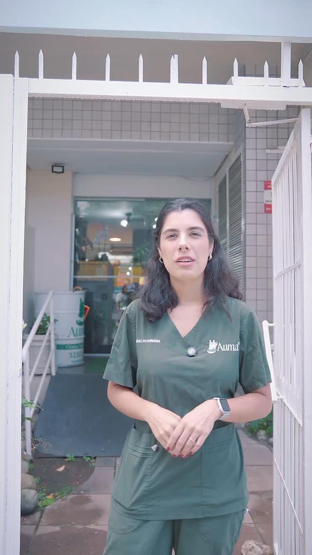 Seu pet merece mais do que um atendimento… merece cuidado de verdade 🐾
Aqui, cada caso é único. Cada detalhe importa.
Trabalhamos com atenção, carinho e técnica para garantir mais saúde, qualidade de vida e bem-estar para o seu melhor amigo.
Porque pra gente, não é só um animal… é família. 💚
Se você procura confiança, segurança e resultados reais, estamos prontos pra te atender.
📲 Chama no direct e agende um horário
#Veterinária #SaúdePet #AmorDePet #CuidadoAnimal #meninodeus