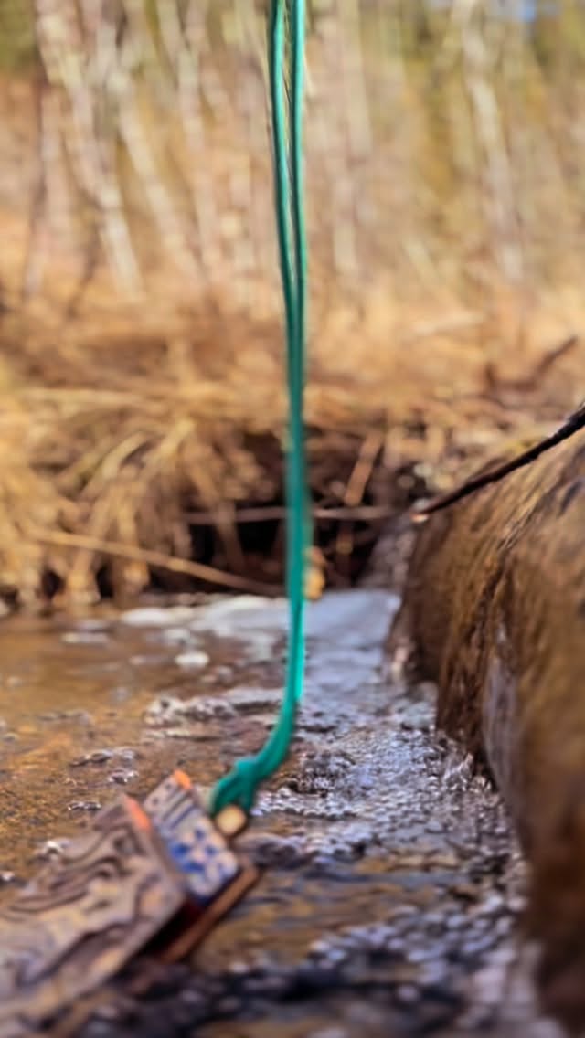Take US to where WE all FLOW like the river. Our Bluffs Trail Runs is getting wild on 5.2.26. Come flow with us at Missouri’s most magical State Park. Link in bio.