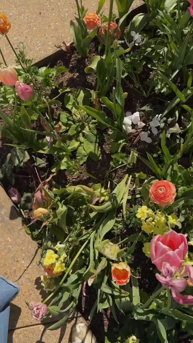 Reminder-You don’t have to lead yourself with pressure to grow.
You can lead yourself with kindness.
Not every thought needs to be chased.
Not every feeling needs to be fixed.
Not every moment needs to be maximized.
Sometimes leadership looks like this:
Choosing peace over overthinking.
Guarding your heart without shutting down.
Letting things go that were never yours to carry.
Resting without guilt.
Trusting the timing you can’t control.
Because the way you lead yourself…
is the way you will lead everything else.
So be gentle here.
You’re doing better than you think.
You’re growing in ways you can’t always see.
And you’re allowed to do that with grace.
Lead yourself well today. 💜 #lead #leadership #love #christianwomen #faith