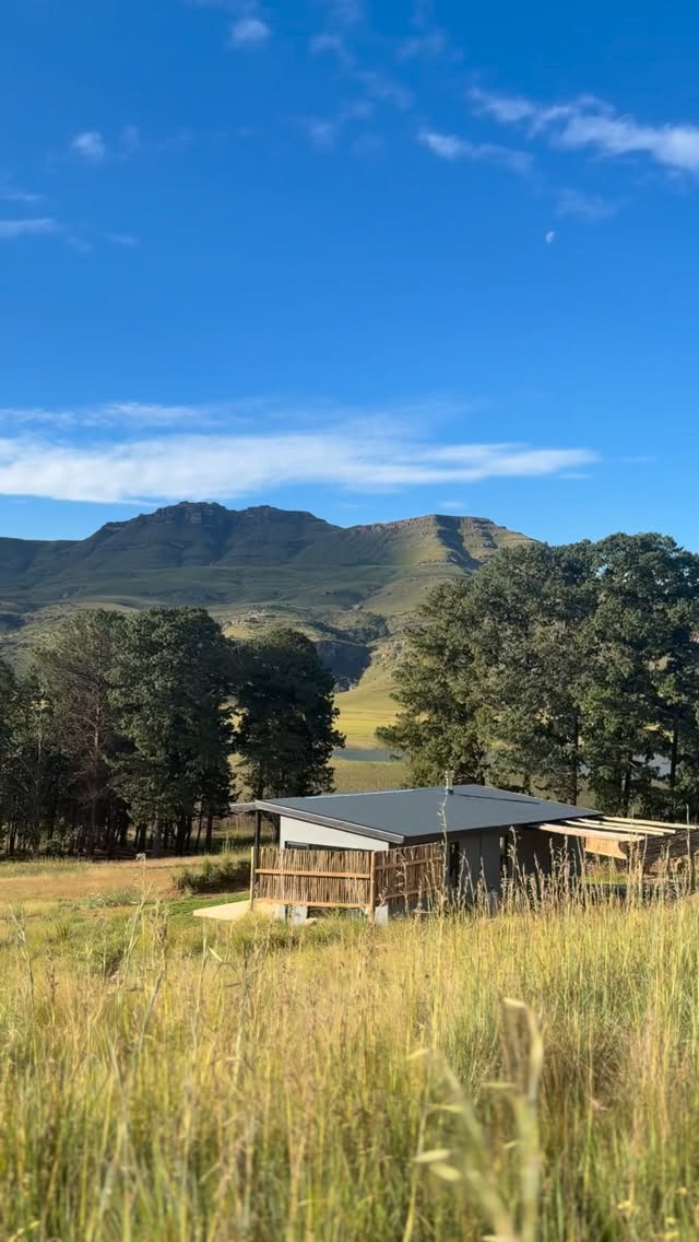 Imagine a tiny cabin tucked deep within one of the most breathtaking mountain valleys in the world…
Where the only sounds are birdsong, the wind through the grass, and the crackle of a fire.
No crowds. No noise. Just you, wrapped in stillness, surrounded by raw, untouched beauty.
Thoughtfully designed, quietly luxurious, and completely private — this is where you come to slow down, reconnect, and experience something truly unforgettable.
A stay that lingers long after you’ve left. ✨
This is Bamboo Cabin.
#mountainescape #offgridliving #luxurycabin #drakensberg #naturestay