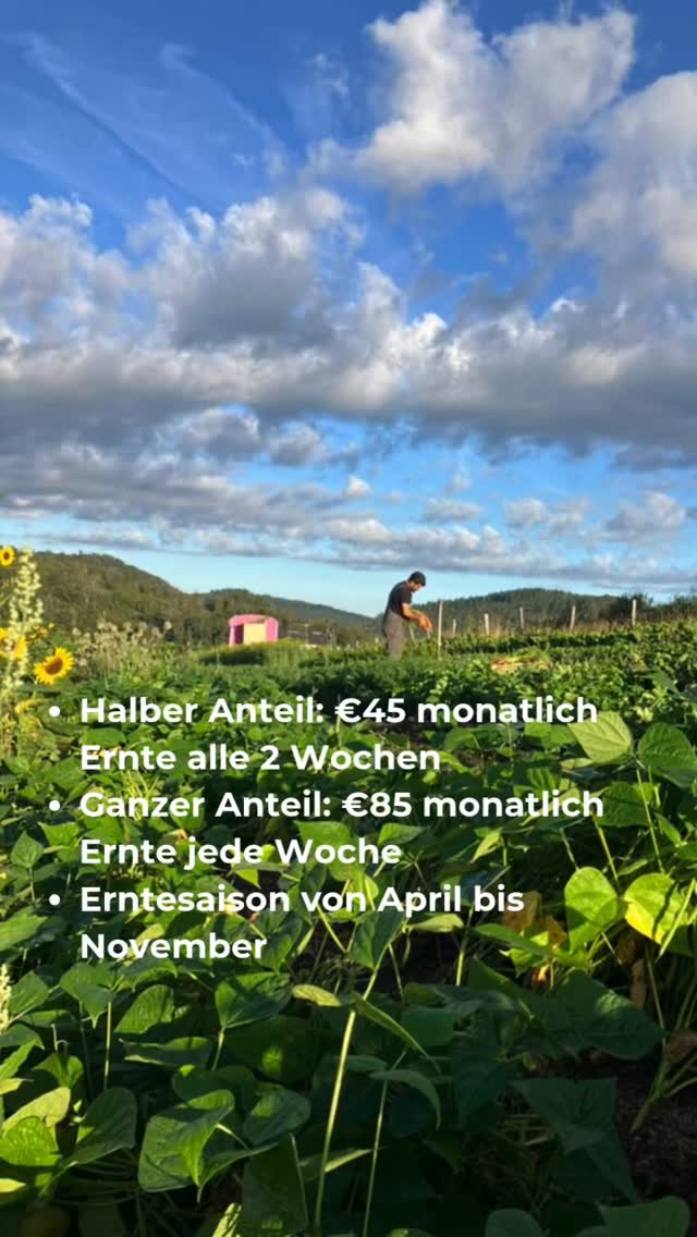 Und so funktioniert‘s!
Abholstellen in Bad Homburg, Oberursel, Usingen, Weilrod und natürlich auch Brombach!