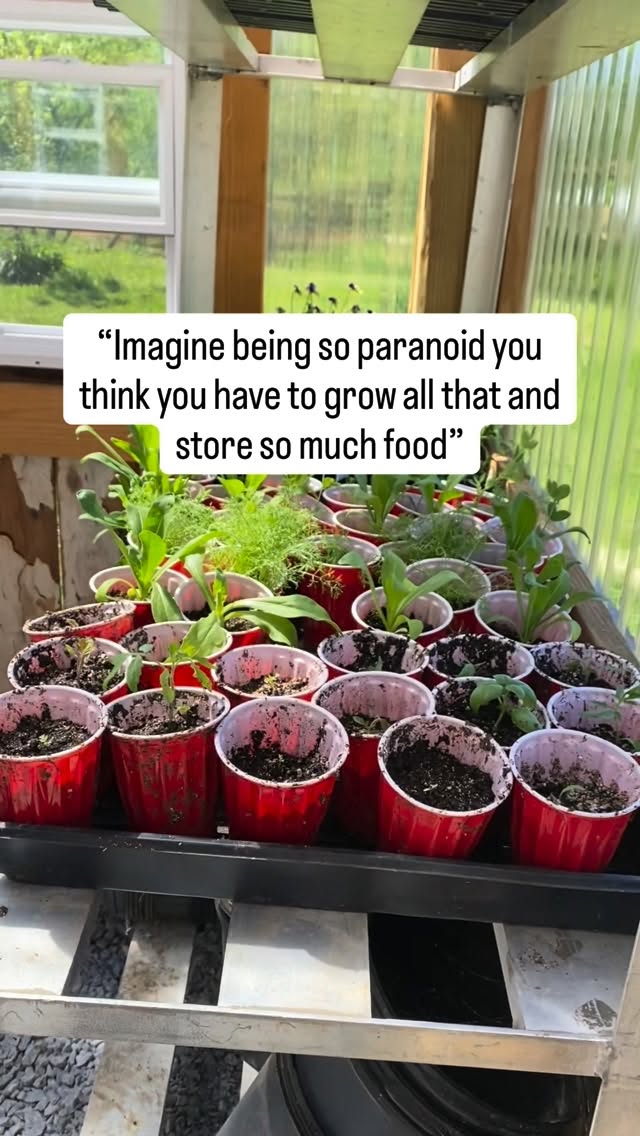 It never fails that comments like this come when I share about us growing and storing food.
You aren’t a doomsday prepper if you are stocking food, learning to grow it, and preserving it for your family.
And when we read the Bible, we see that this shouldn’t sound extreme. Seven years of plenty. Seven years of famine.
On average, if deliveries stop, the grocery store has about three days of food. I’m just not putting all my eggs in that basket.
#homestead #food #bulk #country #farm