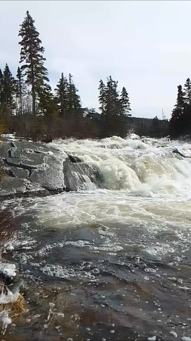 Snowmelt and a rainstorm. 🩵💙🤍💛🙏