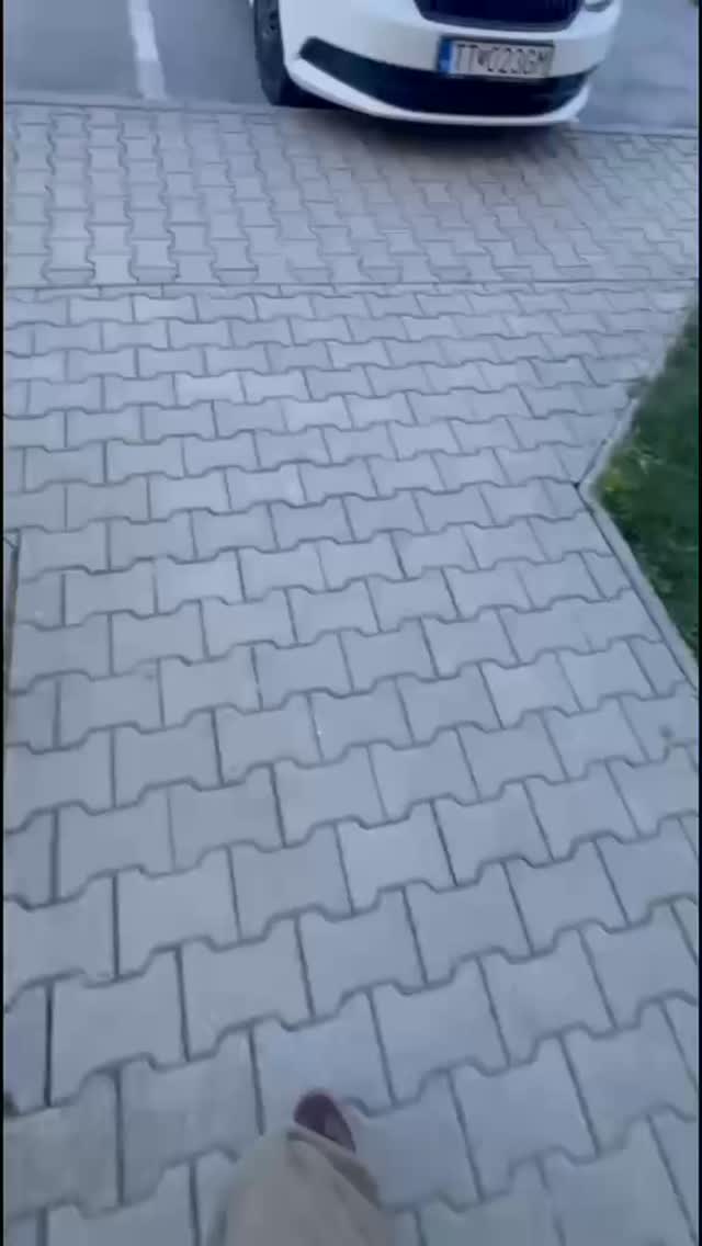 Naše HVK si dnes pripravilo pre Ivett krásne prekvapenie ♥️ pretože ona svoje narodeniny oslavuje na sále ✨
———————
Dnes oslavuje narodeniny človek, bez ktorého by Clis neexistoval. 🤍
Ivett, ďakujeme Ti za všetko, čo si vytvorila… a čo stále tvoríš. Za energiu, čas, trpezlivosť, vášeň aj srdce, ktoré do nás každý deň vkladáš.
Sme hrdí, že môžeme byť súčasťou niečoho, čo má tak silné korene a dušu.
Prajeme Ti všetko najlepšie k narodeninám – nech sa Ti vracia všetko dobro, ktoré rozdávaš. ✨
S láskou
Tvoja tanečná rodina 🤍