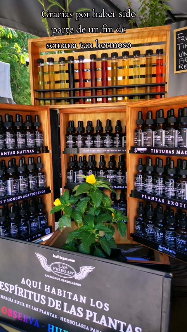Gracias Mercado El Solar por hacernos parte. Y gracias a ti por acercarte, platicar, compartir, probar, recomendar y regresar por más herbolaria casera, ya que gracias a tus compras nos permites vivir de lo que más amamos hacer.
#lasfriegas #latintureria #tinturamadre #medicinadelamadretierra #naturopatia
@Complejo Cultural Los Pinos