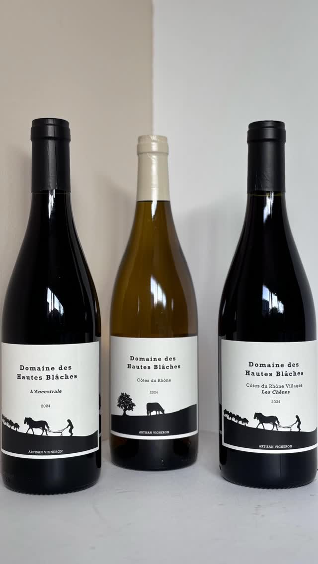 Drie wijnen, één duidelijke signatuur: puur terroir, levendige frisheid en een biodynamische visie die je écht proeft. 🍷
Bij Domaine des Hautes Blâches in Mirabel-aux-Baronnies werkt Thibaut al biologisch sinds 1992 en biodynamisch sinds 2022. Met polycultuur, gezonde bodems, handmatige oogst en veel respect voor natuur en ritme ontstaan hier wijnen met spanning, karakter en precisie.
Côtes du Rhône Blanc 2024
Fris en verfijnd, met witte bloemen, citrus en een subtiele amandeltoets.
L’Ancestrale 2024 – 100% Syrah
Viooltjes, zwarte bessen, bramen, specerijen en een fijne peperige afdronk.
Les Chênes – Côtes du Rhône Villages
Grenache & Syrah in een volle, ronde stijl met donker fruit, garrigue en zijdezachte tannines.
#domaindeshautesblaches #biodynamisch #biodynamischewijn #demeter