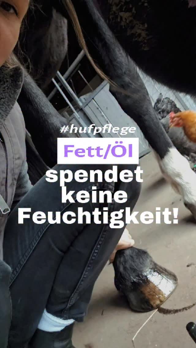 Viele greifen bei trockenen Hufen automatisch zu Fett oder Öl.
Was dabei oft übersehen wird:
Diese Produkte liegen in erster Linie auf der Oberfläche.
Sie können den Huf abdichten –
dringen aber nicht in die Struktur ein
und liefern keine echte Feuchtigkeit im Horn.
Genau das ist aber entscheidend für Elastizität und Belastbarkeit.
Ein gesunder Huf braucht Feuchtigkeit,
die im Horn gebunden wird – nicht nur einen Film von außen.
Deshalb habe ich mein Feuchtigkeitsfluid entwickelt.
+ es zieht in die Hufwand ein
+ unterstützt die Feuchtigkeitsbindung
+ wirkt nicht nur oberflächlich
+ und kommt bewusst ohne Eiweiß aus
Für mich ist das der Unterschied zwischen kurzfristigem Effekt
und nachhaltiger Hufgesundheit.
- Wenn du unsicher bist, ob dein Pferd eher Feuchtigkeit braucht, schau ich mir das gern an.
Du findest das Fluid im Shop (Link im Profil)
Deine Ida von Herz Huf 💜 🐴
#hufpflegetipps #pferdegesundheit #hufwissen #pferdehufe #hufpflegepferd
