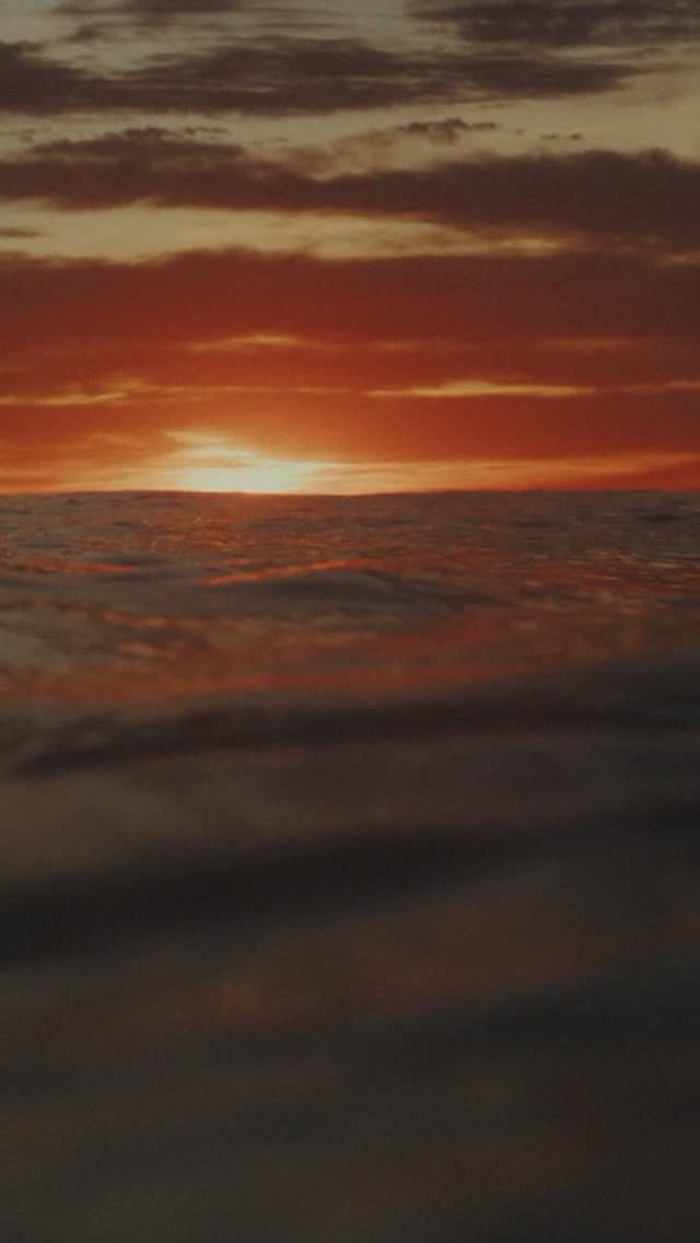 Better together, and still going.
The music, the people, the moments, nothing’s changed.
Extended through April:
Happy Hour from 12PM–9PM
Ladies drink on us
No minimum spend on sunbeds
All week. All weekend.
Don’t miss it.
#SurfClubDubai #OnlyForWanderers #BetterTogether #DubaiNightlife