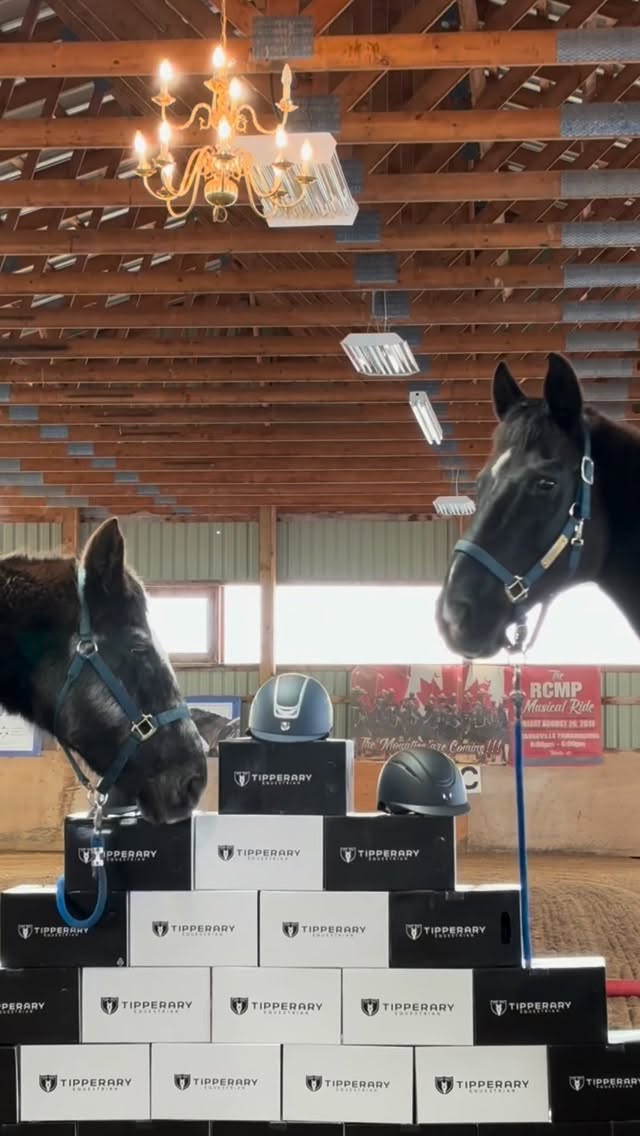 We had an exciting delivery last week from @tipperary_equestrian 💙
More to come (including some of the program horses’ top picks!)✨
#tufftherapeuticridingfoundation #tuffriding #tufftherapeuticriding #tipperaryhelmets #tipperaryequestrian