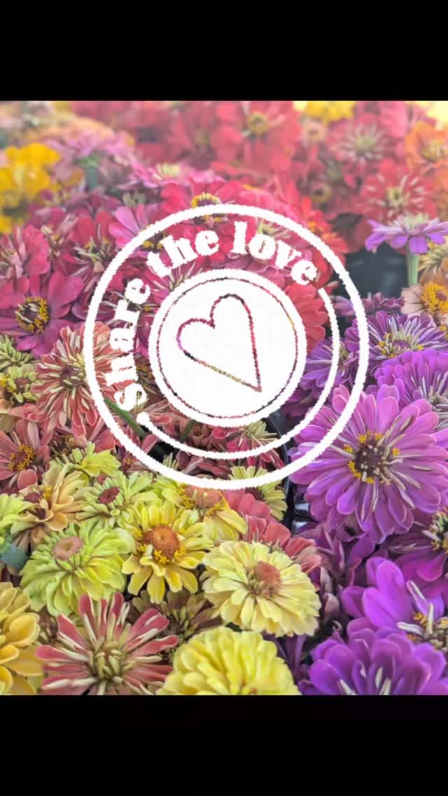 FEEL THE JOY! Hello Flower season! Giving flowers makes everyone happy๐ See you out in the flower fields. @SweetfieldsFarm
#upick #upickflowerfarm #thingstodo #fluffycows #sweetfieldsfarm